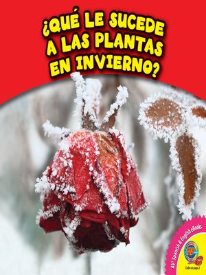 cover image of ¿Qué le sucede a las plantas en invierno?
